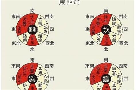 東四命查詢|東四命卦和西四命卦的速查表